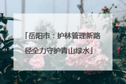 岳阳市：护林管理新路径全力守护青山绿水