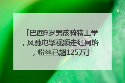 巴西9岁男孩骑猪上学，风驰电掣视频走红网络，粉丝已超125万