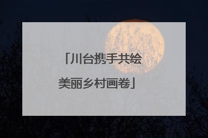 川台携手共绘美丽乡村画卷