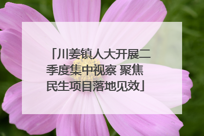 川姜镇人大开展二季度集中视察 聚焦民生项目落地见效