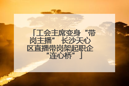 工会主席变身“带岗主播” 长沙天心区直播带岗架起职企“连心桥”