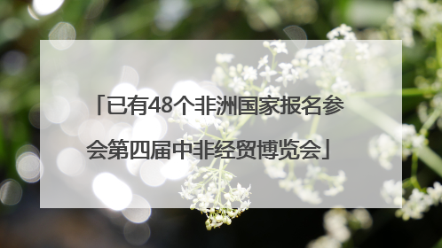 已有48个非洲国家报名参会第四届中非经贸博览会