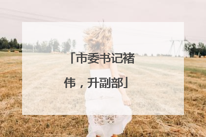 市委书记褚伟，升副部