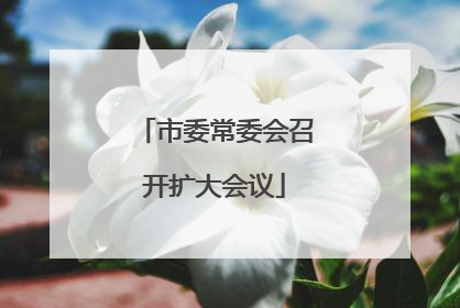市委常委会召开扩大会议
