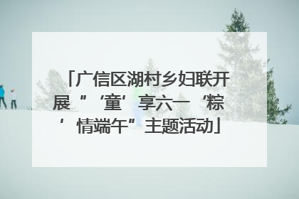广信区湖村乡妇联开展“‘童’享六一‘粽’情端午”主题活动