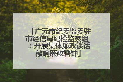 广元市纪委监委驻市经信局纪检监察组：开展集体廉政谈话 敲响廉政警钟