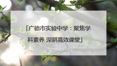 广德市实验中学：聚焦学科素养 深耕高效课堂