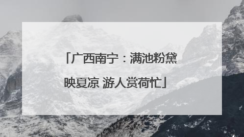 广西南宁：满池粉黛映夏凉 游人赏荷忙