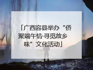 广西容县举办“侨聚端午情·寻觅故乡味”文化活动