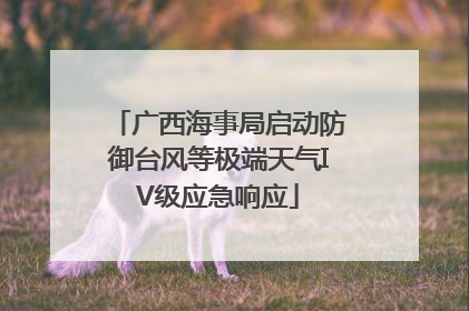 广西海事局启动防御台风等极端天气IV级应急响应