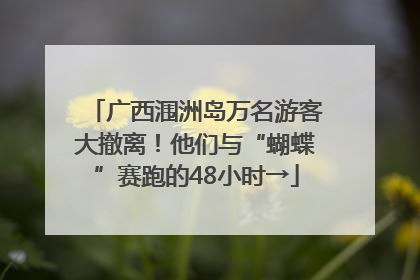 广西涠洲岛万名游客大撤离！他们与“蝴蝶”赛跑的48小时→