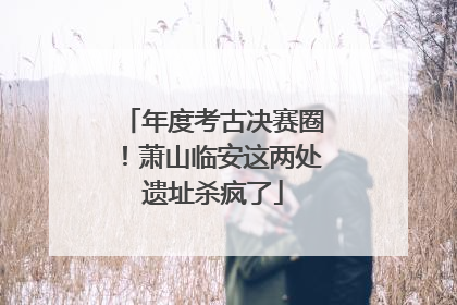 年度考古决赛圈！萧山临安这两处遗址杀疯了