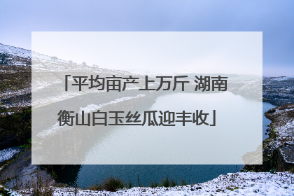 平均亩产上万斤 湖南衡山白玉丝瓜迎丰收