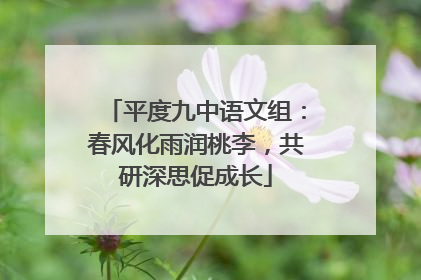 平度九中语文组：春风化雨润桃李，共研深思促成长