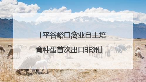 平谷峪口禽业自主培育种蛋首次出口非洲