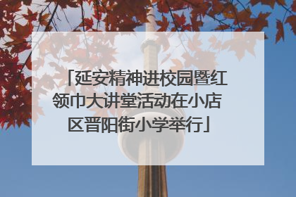 延安精神进校园暨红领巾大讲堂活动在小店区晋阳街小学举行