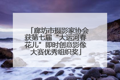 廊坊市摄影家协会获第七届“大运河春花儿”即时创意影像大赛优秀组织奖