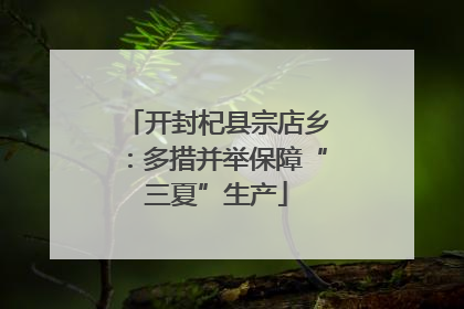 开封杞县宗店乡：多措并举保障“三夏”生产