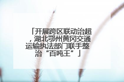 开展跨区联动治超，湖北鄂州黄冈交通运输执法部门联手整治“百吨王”