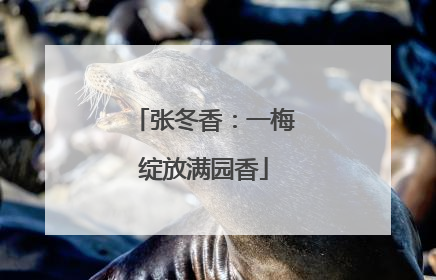 张冬香：一梅绽放满园香