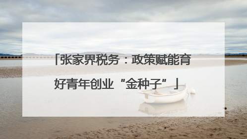 张家界税务：政策赋能育好青年创业“金种子”