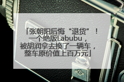 张朝阳后悔“退货”！一个绝版Labubu，被胡润拿去换了一辆车，整车原价值上百万元