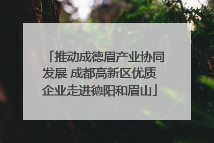 推动成德眉产业协同发展 成都高新区优质企业走进德阳和眉山