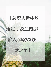 总统大选尘埃落定，波兰内部陷入亲欧VS疑欧之争