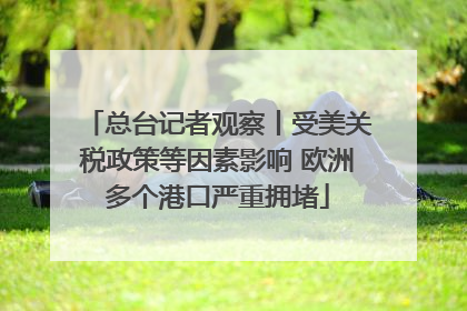 总台记者观察丨受美关税政策等因素影响 欧洲多个港口严重拥堵