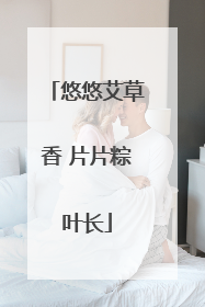 悠悠艾草香 片片粽叶长