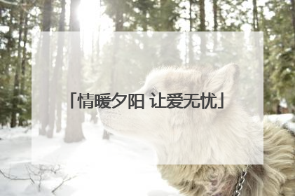 情暖夕阳 让爱无忧