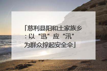 慈利县阳和土家族乡：以“迅”应“汛” 为群众撑起安全伞