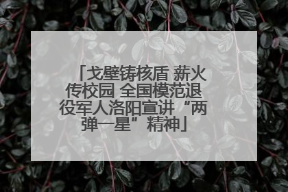 戈壁铸核盾 薪火传校园 全国模范退役军人洛阳宣讲“两弹一星”精神