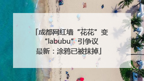 成都网红墙“花花”变“labubu”引争议 最新：涂鸦已被抹掉