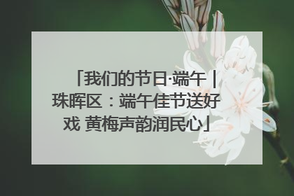 我们的节日·端午｜珠晖区：端午佳节送好戏 黄梅声韵润民心