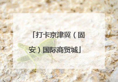 打卡京津冀（固安）国际商贸城