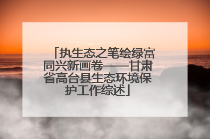 执生态之笔绘绿富同兴新画卷——甘肃省高台县生态环境保护工作综述
