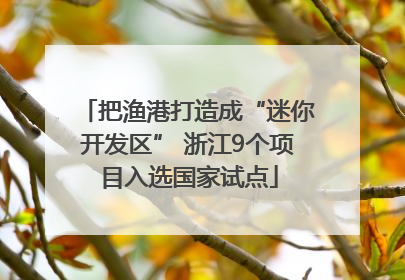 把渔港打造成“迷你开发区” 浙江9个项目入选国家试点
