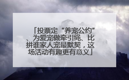 投票定“养宠公约”、为爱宠做牵引绳、比拼谁家人宠最默契，这场活动有趣更有意义
