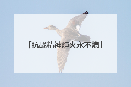 抗战精神炬火永不熄