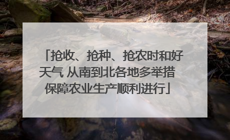 抢收、抢种、抢农时和好天气 从南到北各地多举措保障农业生产顺利进行