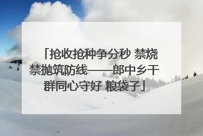 抢收抢种争分秒 禁烧禁抛筑防线——郎中乡干群同心守好 粮袋子