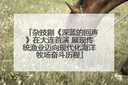 杂技剧《深蓝的回声》在大连首演 展现传统渔业迈向现代化海洋牧场奋斗历程