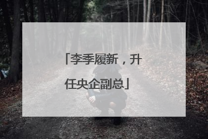 李季履新，升任央企副总