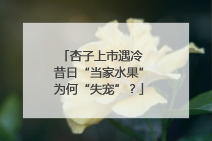 杏子上市遇冷 昔日“当家水果”为何“失宠”？