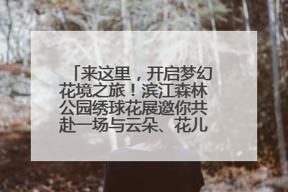 来这里，开启梦幻花境之旅！滨江森林公园绣球花展邀你共赴一场与云朵、花儿的浪漫之约