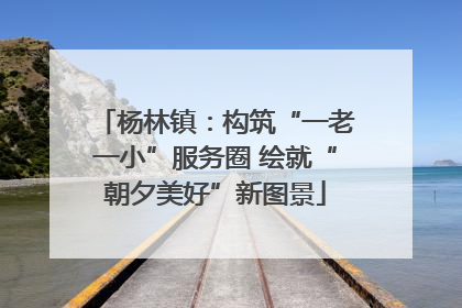杨林镇：构筑“一老一小”服务圈 绘就“朝夕美好”新图景