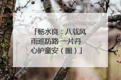 杨水良：八载风雨巡防路 一片丹心护童安（图）