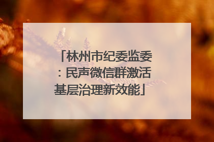 林州市纪委监委：民声微信群激活基层治理新效能
