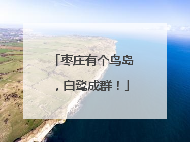 枣庄有个鸟岛，白鹭成群！
